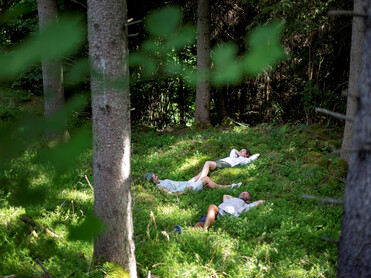3 Personen liegen im Wald im Moos | © Steiermark Tourismus, ikarus.cc