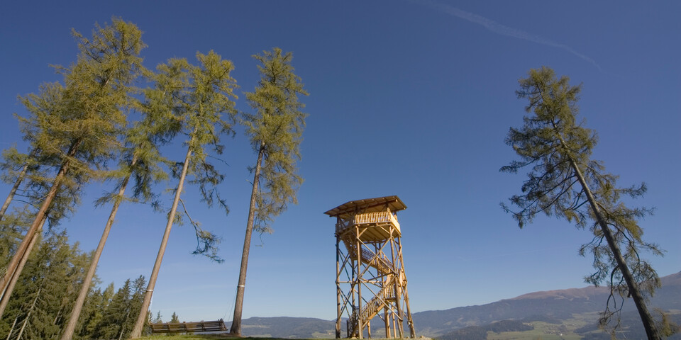 Turm mit Aussicht, Buschenschank Zeischgl, Pöllau bei Neumarkt