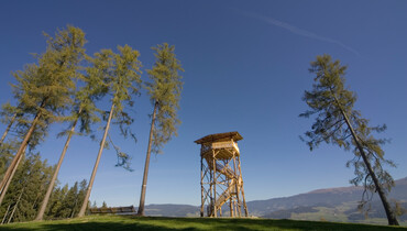 Turm mit Aussicht, Buschenschank Zeischgl, Pöllau bei Neumarkt