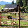 Zeckis Hütte Spielplatz | © Zeckis Hütte