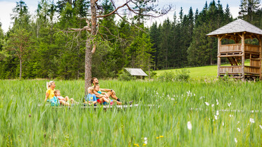 Familie, Wandern, Moor, seltene Pflanzen, St. Blasen | © TVB Naturpark Zirbitzkogel-Grebenzen