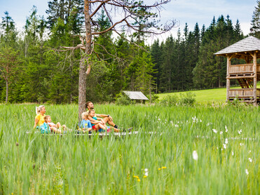 Familie, Wandern, Moor, seltene Pflanzen, St. Blasen | © TVB Naturpark Zirbitzkogel-Grebenzen