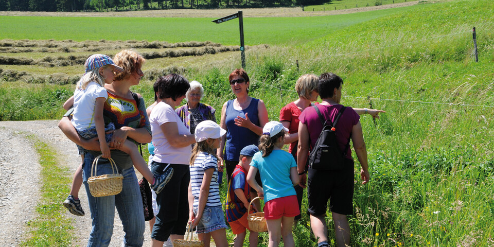 Gruppe bei Führung, Kräuter | © Gudrun Plank