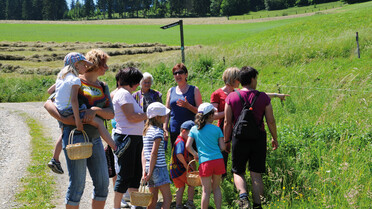 Gruppe bei Führung, Kräuter | © Gudrun Plank