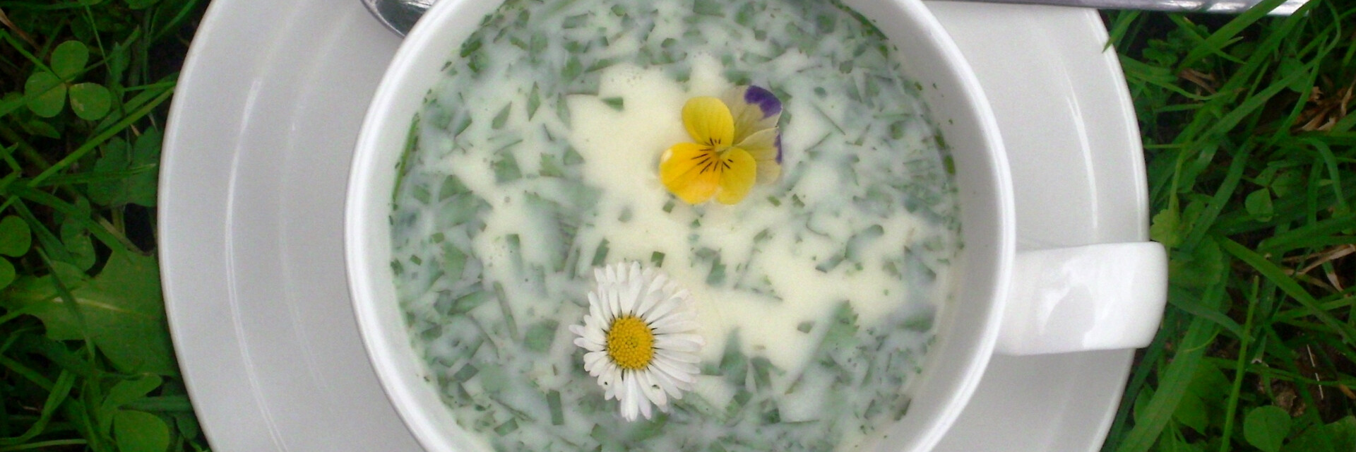 Suppe mit Wiesenblumen | © Naturpark Zirbitzkogel-Grebenzen