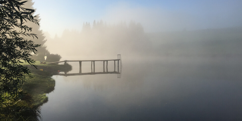 nebelige Stimmung, Mühlen, Badesee,