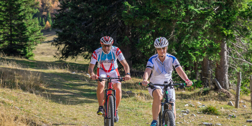 2 Radfahrer fahren Berg hinauf | © TVB Naturpark Zirbtizkogel-Grebenzen | Mediadome