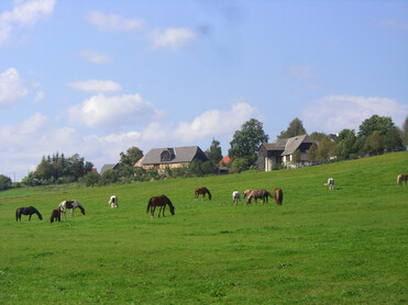 Wiese, Pferde, Bauernhof | © Naturpark Zirbitzkogel-Grebenzen