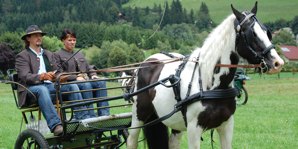 Kutsche, Pferd, 2 Personen | © Naturpark Zirbitzkogel-Grebenzen