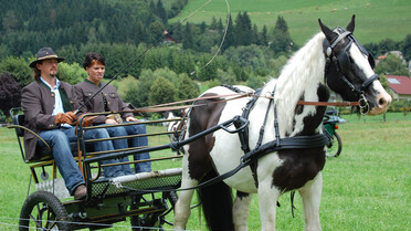 Kutsche, Pferd, 2 Personen | © Naturpark Zirbitzkogel-Grebenzen