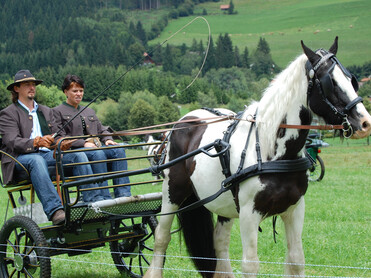 Kutsche, Pferd, 2 Personen | © Naturpark Zirbitzkogel-Grebenzen