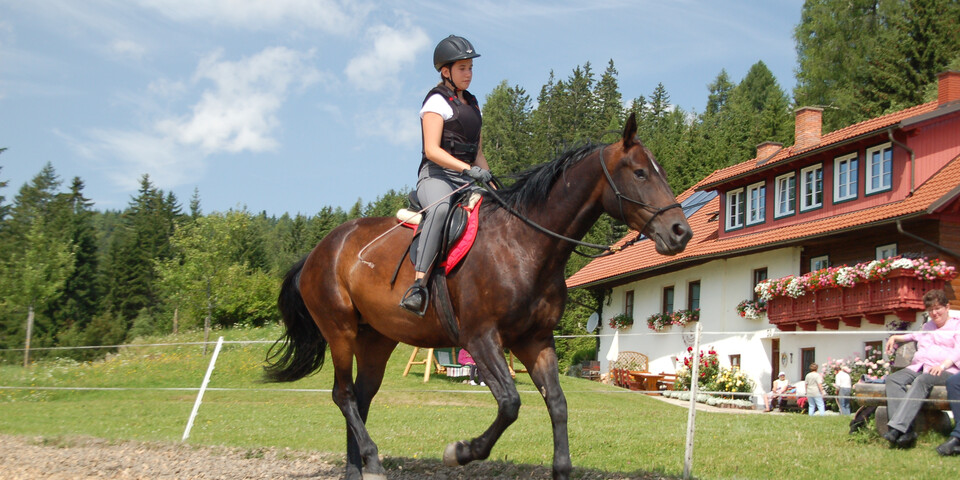 reiten, Frau, Viereck | © Steinerhof-Leitner