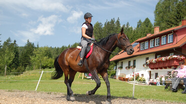 reiten, Frau, Viereck | © Steinerhof-Leitner