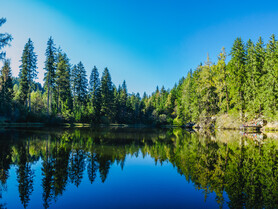 Übersicht Teich, Natur, Wald, Wasser | © TVB Naturpark Zirbitzkogel-Grebenzen_Mediadome