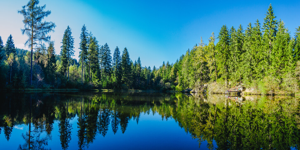 Übersicht Teich, Natur, Wald, Wasser | © TVB Naturpark Zirbitzkogel-Grebenzen_Mediadome