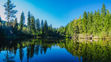 Übersicht Teich, Natur, Wald, Wasser | © TVB Naturpark Zirbitzkogel-Grebenzen_Mediadome