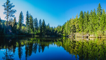 Übersicht Teich, Natur, Wald, Wasser | © TVB Naturpark Zirbitzkogel-Grebenzen_Mediadome