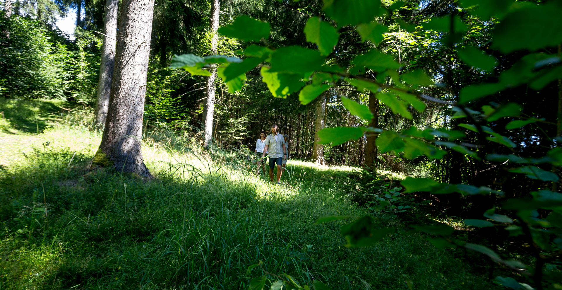 Wald, Personen, gehen | © Steiermark Tourismus