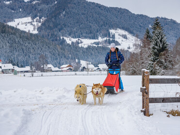 Frau fährt mit Schlitten gezogen von Huskys | © TVB Naturpark Zirbitzkogel-Grebenzen | strength. PHOTOGRAPHY, René Hochegger