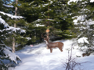 skitour, 3D Bogenparcours, Wild | © Godi