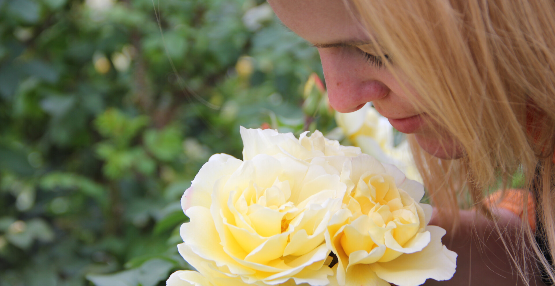 Frau, riecht an Blume | © Archiv Naturpark Zirbitzkogel-Grebenzen