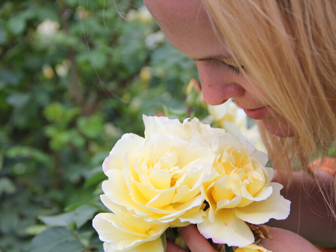 Frau, riecht an Blume | © Archiv Naturpark Zirbitzkogel-Grebenzen