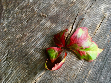 Holztisch mit einem herbstlichen Blatt