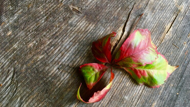 Holztisch mit einem herbstlichen Blatt