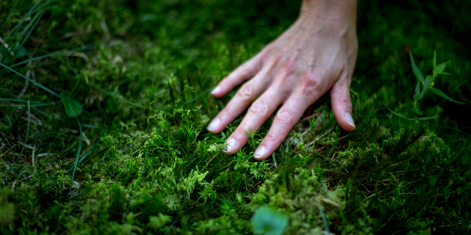Hand im grünen Moos | © Steiermark Tourismus, ikaurs.cc