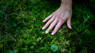 Hand im grünen Moos | © Steiermark Tourismus, ikaurs.cc