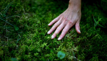 Hand im grünen Moos | © Steiermark Tourismus, ikaurs.cc