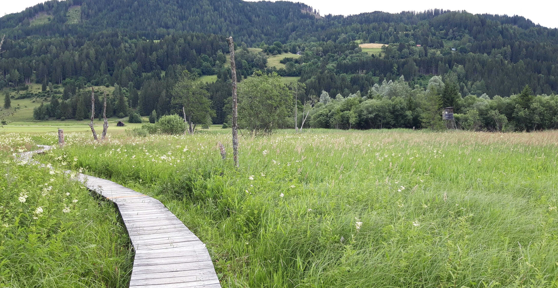 Steg, Wiese, Moor | © Naturpark Zirbitzkogel-Grebenzen