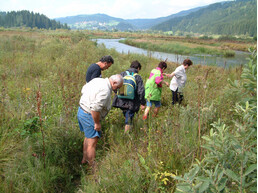 geführte Wanderung, Moor, Personen | © Naturpark Zirbitzkogel-Grebenzen