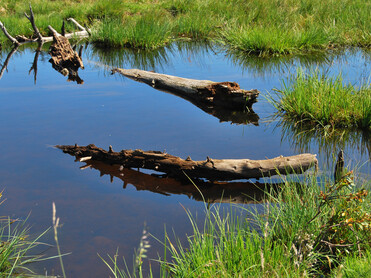 Wasser, Wiese, Holz | © Naturpark Zirbitzkogel-Grebenzen