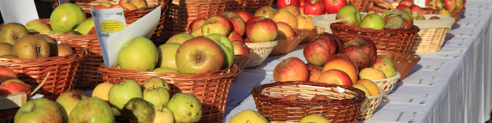 alte Sorten, Körbe, Äpfel | © Oikos
