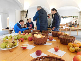 Äpfel, Bestimmung der Sorte | © Naturpark Zirbitzkogel-Grebenzen