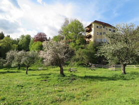 verschiedene Bäume, Wiese, Pichlschloss | © Naturpark Zirbitzkogel-Grebenzen