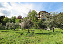 verschiedene Bäume, Wiese, Pichlschloss | © Naturpark Zirbitzkogel-Grebenzen