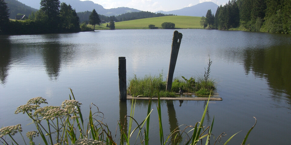 Wasser, Ansicht Muhrenteich | © Naturpark Zirbitzkogel-Grebenzen
