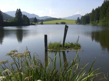Wasser, Ansicht Muhrenteich | © Naturpark Zirbitzkogel-Grebenzen
