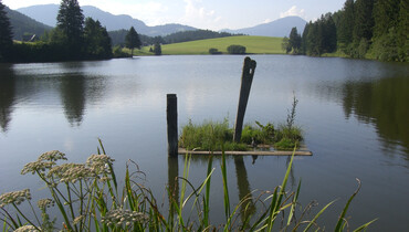 Wasser, Ansicht Muhrenteich | © Naturpark Zirbitzkogel-Grebenzen