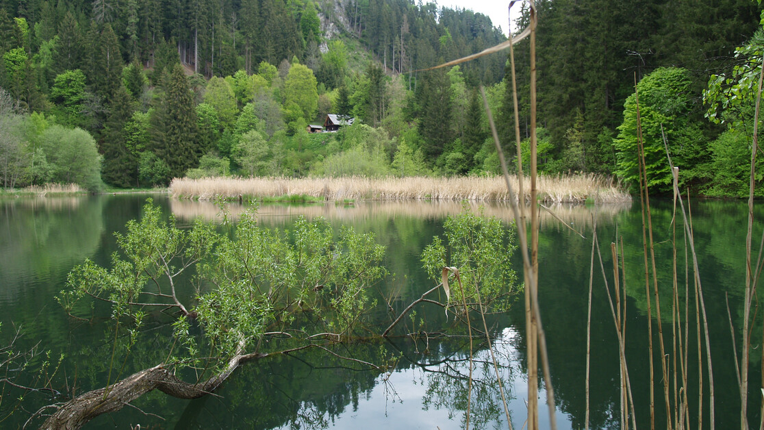 Teich im Wald | © Naturpark Zirbitzkogel-Grebenzen