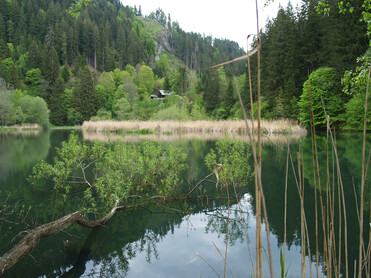 Teich im Wald | © Naturpark Zirbitzkogel-Grebenzen