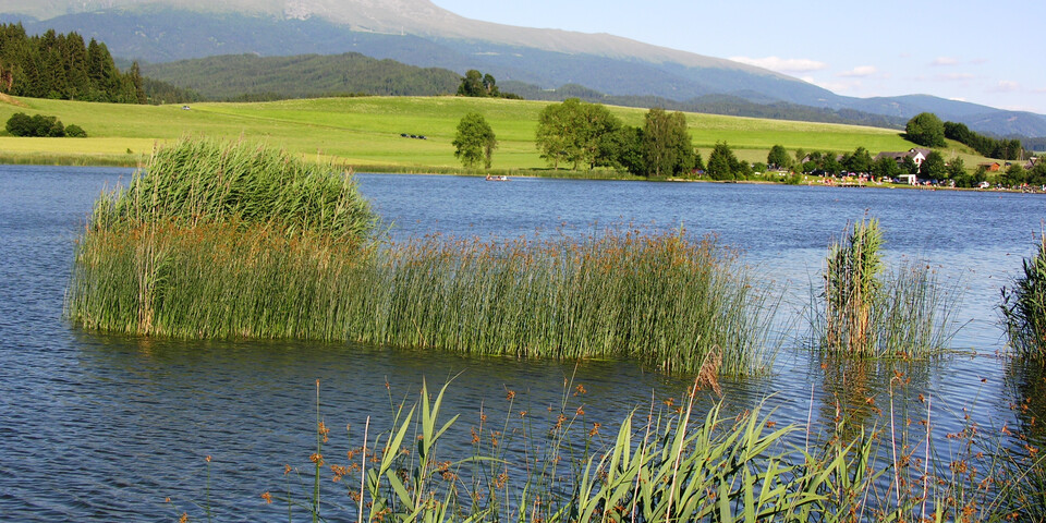 Wasser, Schilf, Blick auf Zirbitz | © Naturpark Zirbitzkogel-Grebenzen