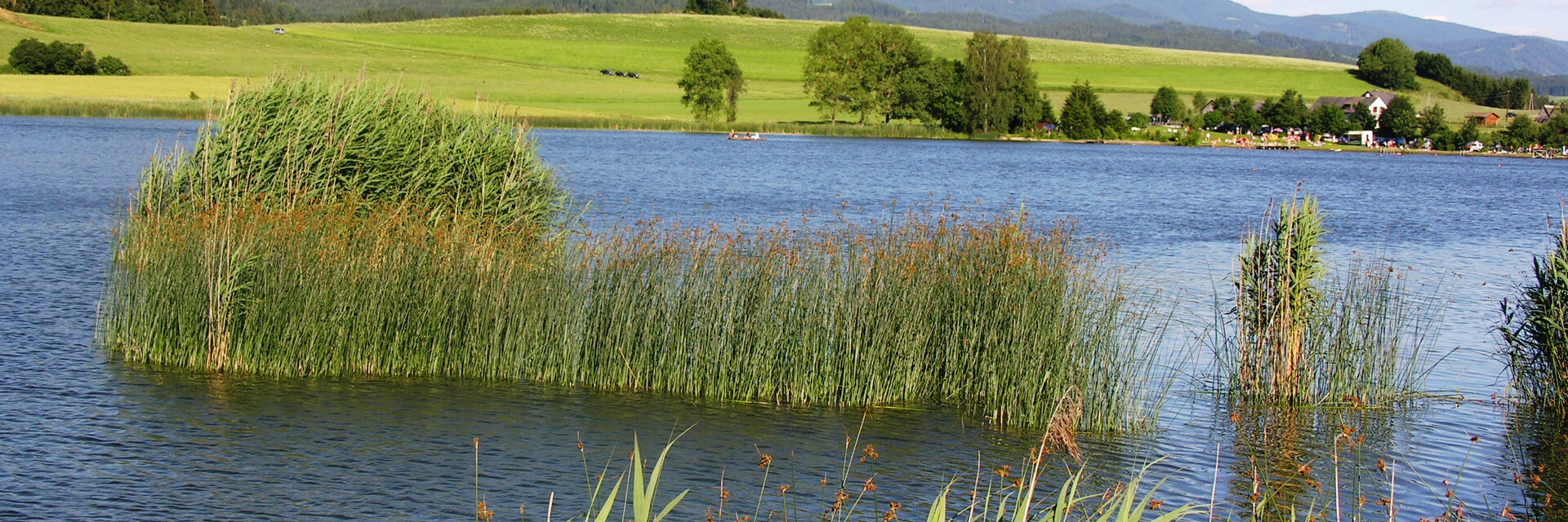 Wasser, Schilf, Blick auf Zirbitz | © Naturpark Zirbitzkogel-Grebenzen