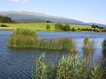 Wasser, Schilf, Blick auf Zirbitz | © Naturpark Zirbitzkogel-Grebenzen