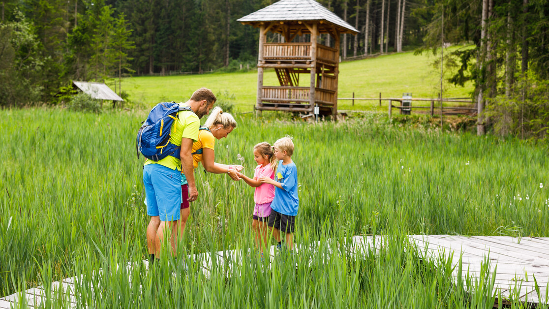 Moor, Familie, Turm | © TVB Naturpark Zirbitzkogel-Grebenzen, Mediadome