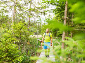 Dürnberger Moor | © TVB Naturpark Zirbitzkogel-Grebenzen | Mediadome Mann geht über Steg, Moor | © TVB Naturpark Zirbitzkogel-Grebenzen | Mediadome