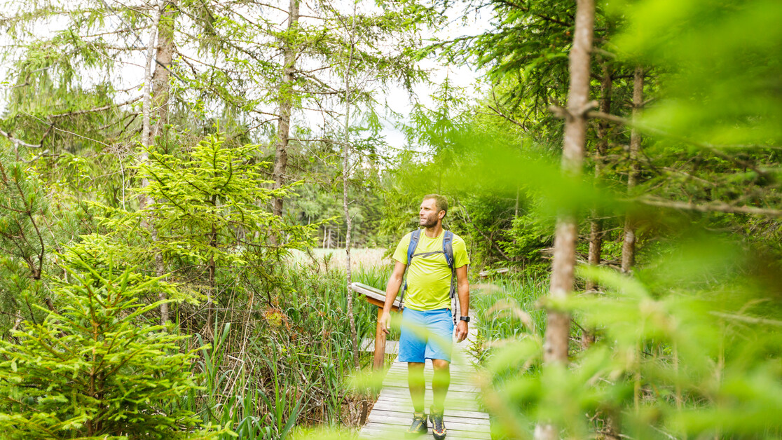 Mann geht über Steg, Moor | © TVB Naturpark Zirbitzkogel-Grebenzen | Mediadome