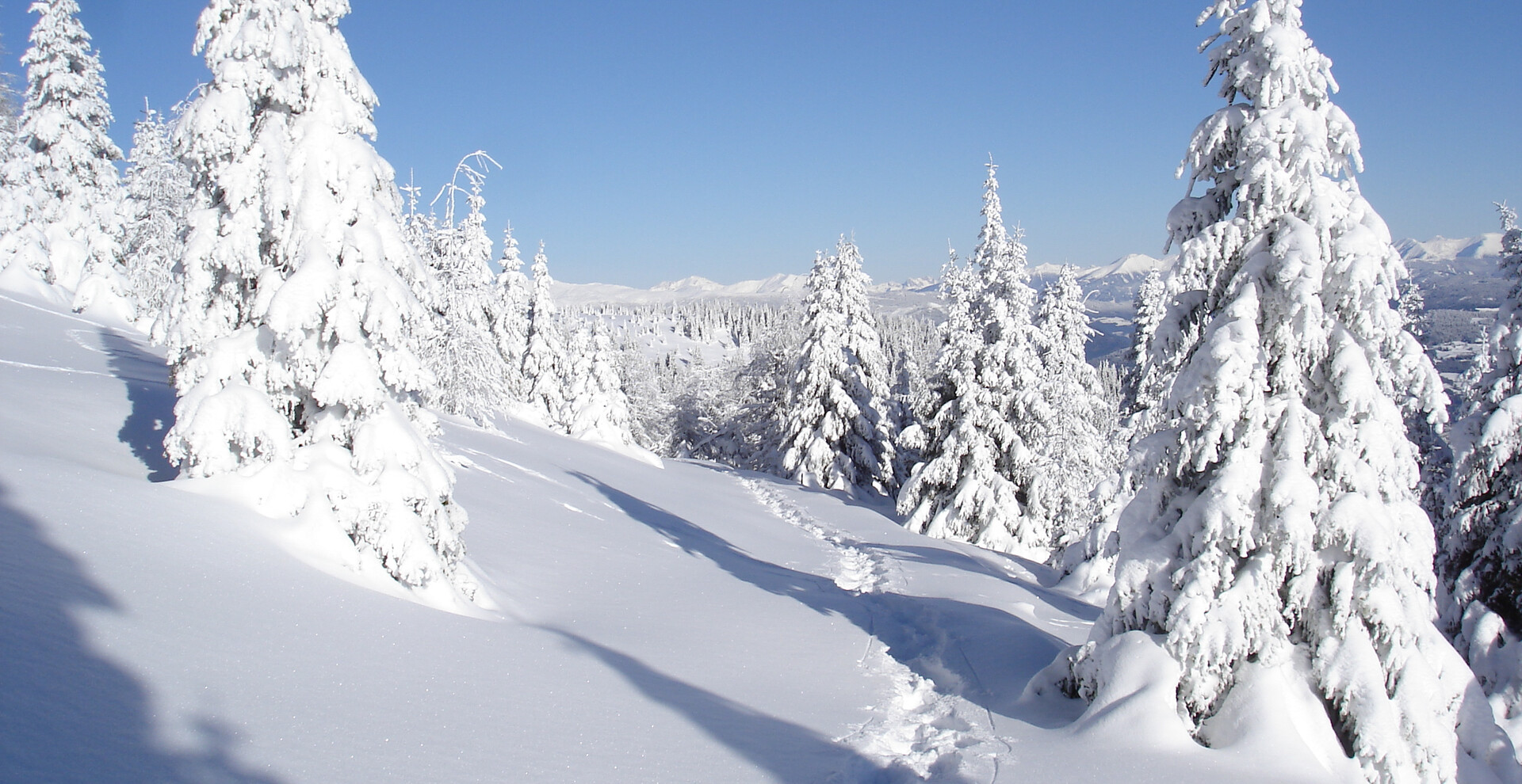 Winterlandschaft Naturpark Zirbitzkogel-Grebenzen | © TVB Naturpark Zirbitzkogel-Grebenzen Spuren im Schnee, verschneite Bäume | © TVB Naturpark Zirbitzkogel-Grebenzen